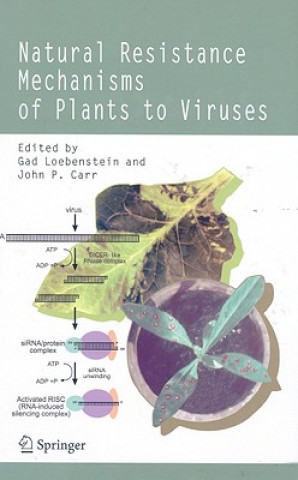 Książka Natural Resistance Mechanisms of Plants to Viruses Gad Loebenstein