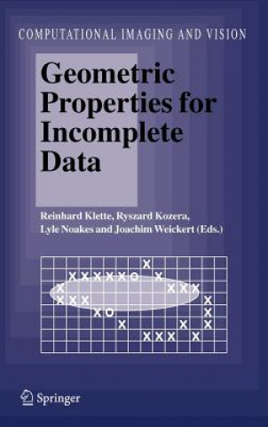 Könyv Geometric Properties for Incomplete Data Reinhard Klette