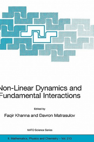 Könyv Non-Linear Dynamics and Fundamental Interactions Faqir Khanna