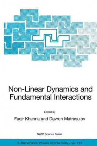 Könyv Non-Linear Dynamics and Fundamental Interactions Faqir Khanna