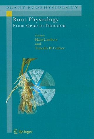 Kniha Root Physiology: from Gene to Function Hans Lambers