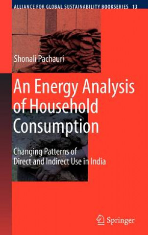 Kniha Energy Analysis of Household Consumption Shonali Pachauri