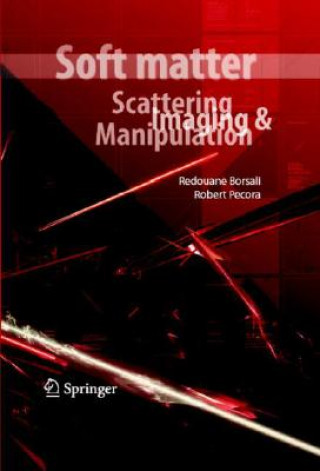Könyv Soft-Matter Characterization Redouane Borsali