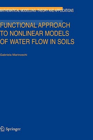 Könyv Functional Approach to Nonlinear Models of Water Flow in Soils Gabriela Marinoschi