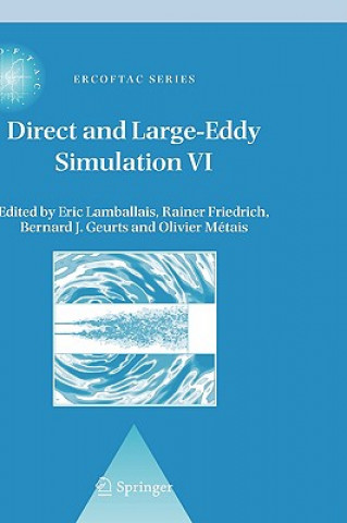 Kniha Direct and Large-Eddy Simulation VI Eric Lamballais