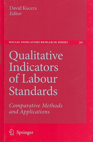 Könyv Qualitative Indicators of Labour Standards David Kucera
