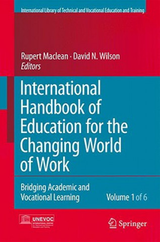 Kniha International Handbook of Education for the Changing World of Work David Wilson