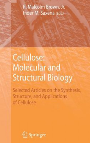 Könyv Cellulose: Molecular and Structural Biology R. M.