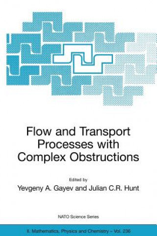 Boek Flow and Transport Processes with Complex Obstructions Yevgeny A. Gayev