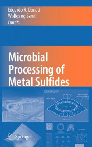 Könyv Microbial Processing of Metal Sulfides Edgardo R. Donati