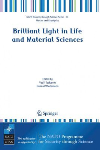 Книга Brilliant Light in Life and Material Sciences Vasili Tsakanov