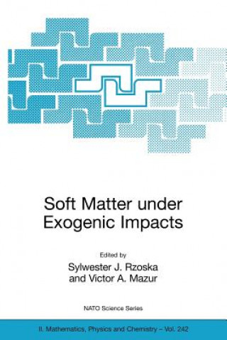 Kniha Soft Matter under Exogenic Impacts Sylwester J. Rzoska