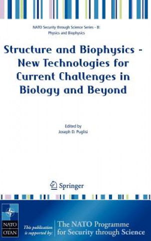 Könyv Structure and Biophysics - New Technologies for Current Challenges in Biology and Beyond Joseph D. Puglisi