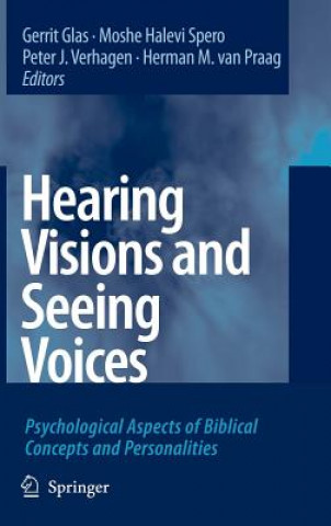 Kniha Hearing Visions and Seeing Voices Gerrit Glas