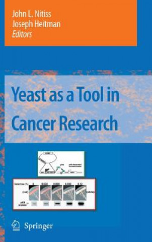Carte Yeast as a Tool in Cancer Research John L Nitiss