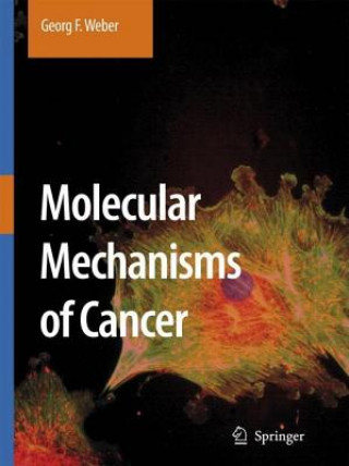 Könyv Molecular Mechanisms of Cancer G. F. Weber