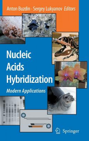 Könyv Nucleic Acids Hybridization Anton Buzdin