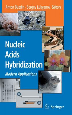 Book Nucleic Acids Hybridization Anton Buzdin