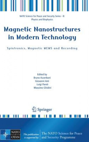Kniha Magnetic Nanostructures in Modern Technology Bruno Azzerboni