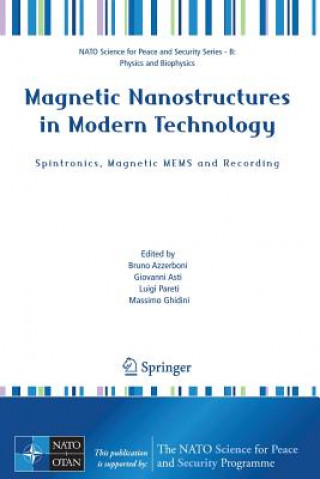 Könyv Magnetic Nanostructures in Modern Technology Bruno Azzerboni