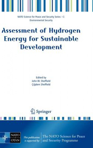 Kniha Assessment of Hydrogen Energy for Sustainable Development John W. Sheffield