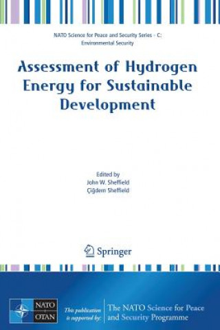Kniha Assessment of Hydrogen Energy for Sustainable Development John W. Sheffield