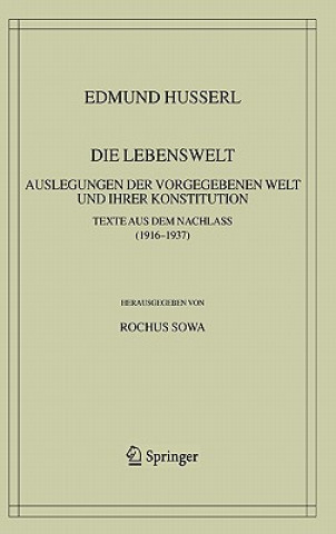 Könyv Lebenswelt Edmund Husserl