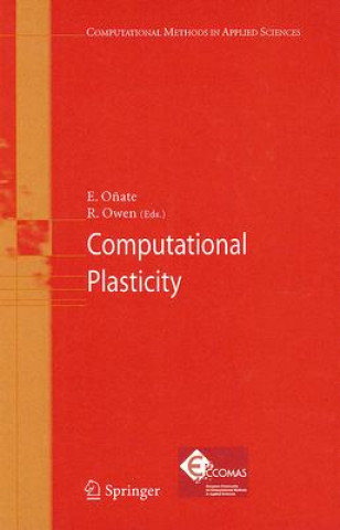 Книга Computational Plasticity Eugenio O