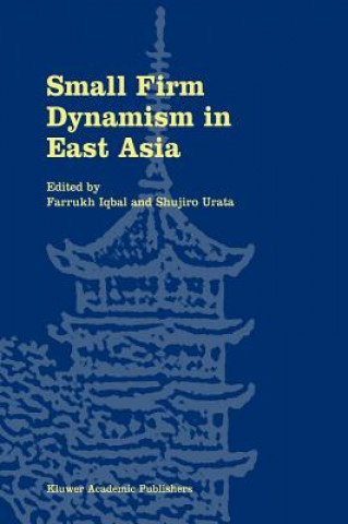 Kniha Small Firm Dynamism in East Asia Farrukh Iqbal