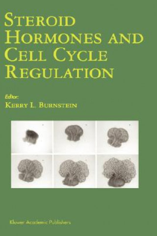 Könyv Steroid Hormones and Cell Cycle Regulation Kerry L. Burnstein