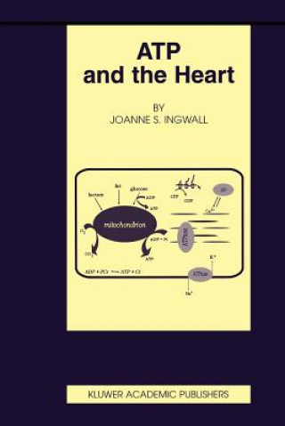 Kniha ATP and the Heart Joanne S. Ingwall