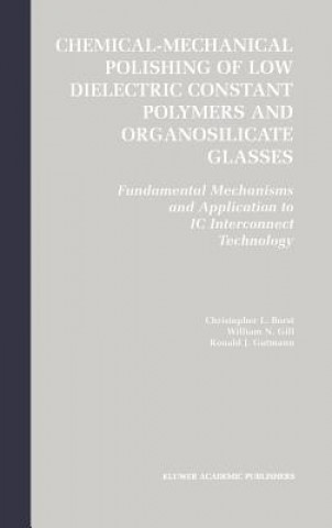 Книга Chemical-Mechanical Polishing of Low Dielectric Constant Polymers and Organosilicate Glasses Christopher Lyle Borst