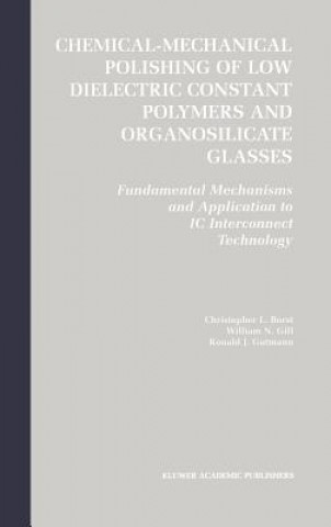 Książka Chemical-Mechanical Polishing of Low Dielectric Constant Polymers and Organosilicate Glasses Christopher Lyle Borst