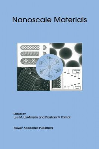 Libro Nanoscale Materials Luis M. Liz-Marzán