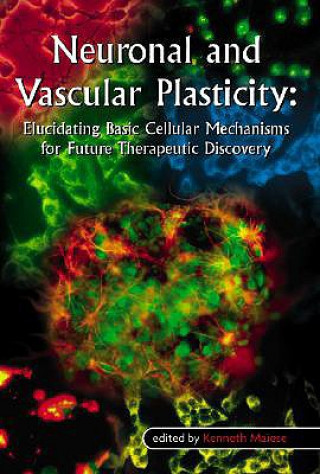 Könyv Neuronal and Vascular Plasticity Kenneth Maiese