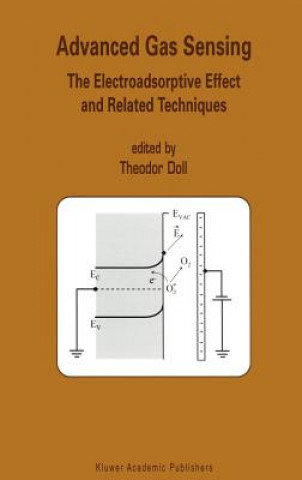 Carte Advanced Gas Sensing Theodor Doll