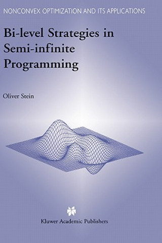 Könyv Bi-Level Strategies in Semi-Infinite Programming Oliver Stein