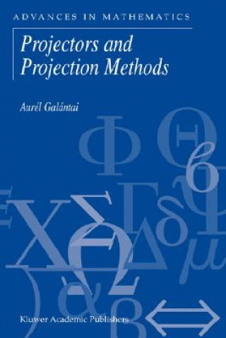 Könyv Projectors and Projection Methods Aurel Galantai