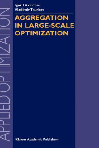 Książka Aggregation in Large-Scale Optimization I. Litvinchev