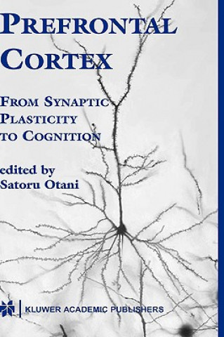 Kniha Prefrontal Cortex Satoru Otani