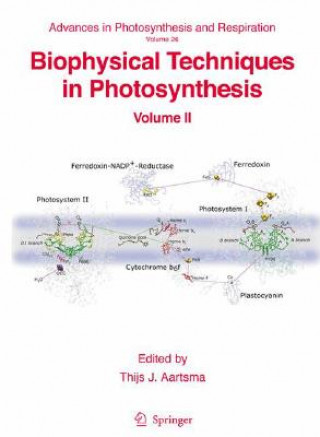 Könyv Biophysical Techniques in Photosynthesis Thijs J. Aartsma