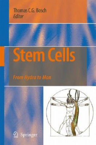 Knjiga Stem Cells Thomas C. G. Bosch