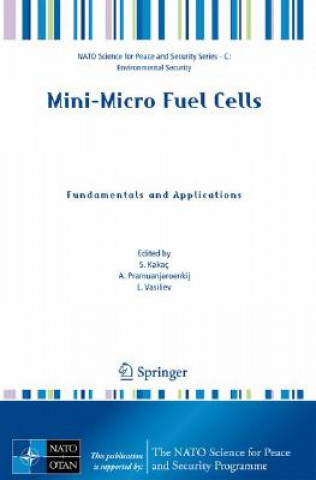 Book Mini-Micro Fuel Cells S. Kakaç