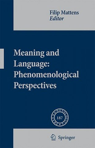 Book Meaning and Language: Phenomenological Perspectives Filip Mattens