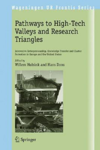 Könyv Pathways to High-Tech Valleys and Research Triangles Willem Hulsink