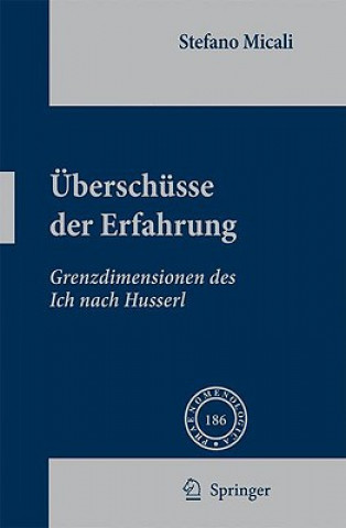 Livre Uberschusse Der Erfahrung Stefano Micali