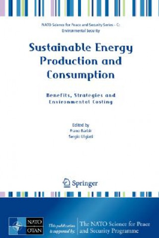 Buch Sustainable Energy Production and Consumption Frano Barbir