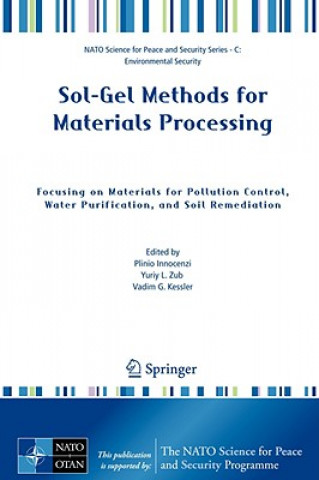 Книга Sol-Gel Methods for Materials Processing Plinio Innocenzi