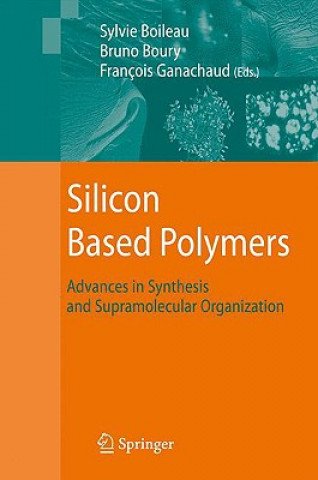 Libro Silicon Based Polymers Bruno Boury