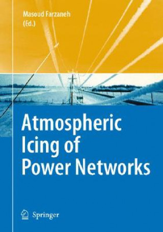 Carte Atmospheric Icing of Power Networks Masoud Farzaneh